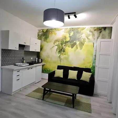 Lejlighed Chopina 29